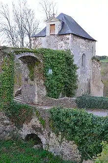 Ruines du château de la Turmelière