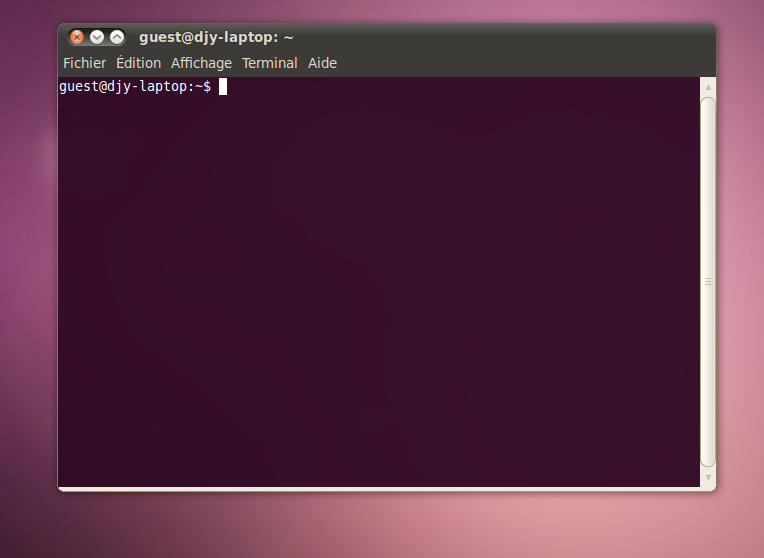 Un terminal lancé sous Ubuntu 10.04